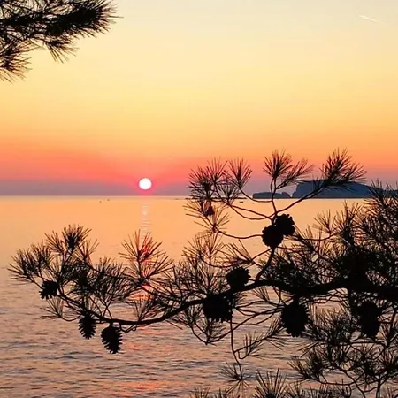 Apartman New Roko Zvekovica -cavtat,near Dubrovnik Airport